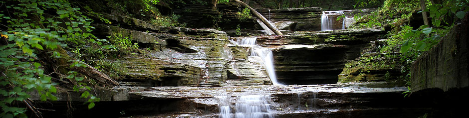 Best Cottage in Takdah Cantontment